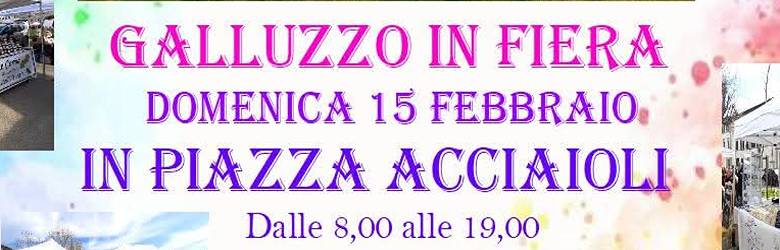 Eventi Firenze Domenica 15 Febbraio 2026