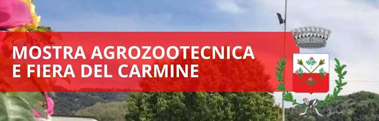 Fiera del Carmine Massarosa 2026