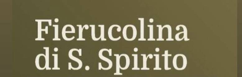 Mercatini Firenze 19 Aprile 2026