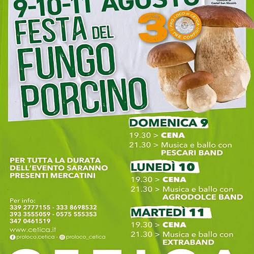 Festa del Fungo Porcino a Cetica 2026
