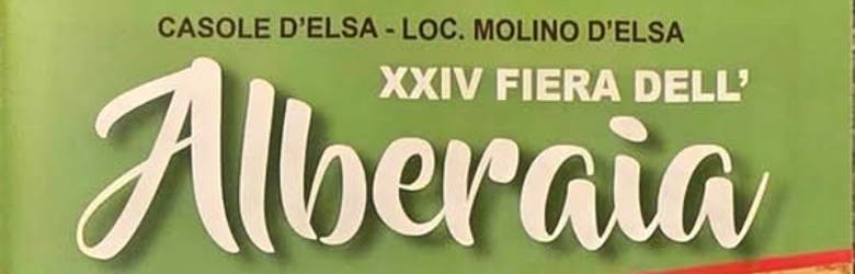 Fiera Molino d'Elsa 2026