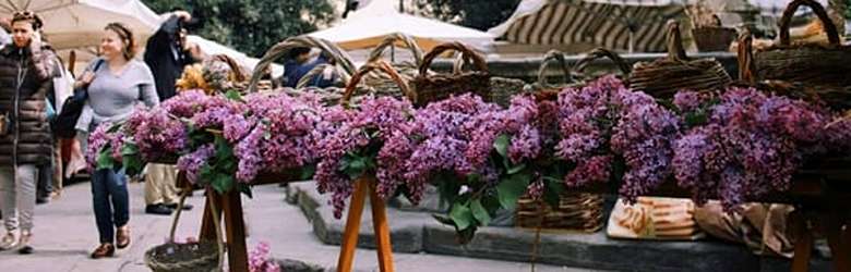 Eventi Firenze Domenica 20 Settembre 2026
