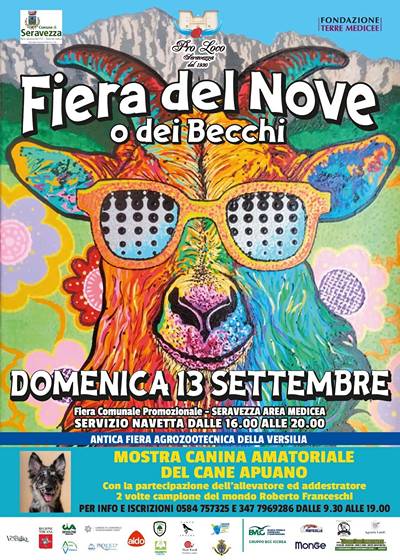Fiera del Nove o dei Becchi a Seravezza 2026