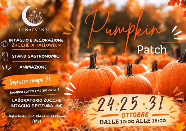 Festa delle Zucche a Nave di Tresana 2026