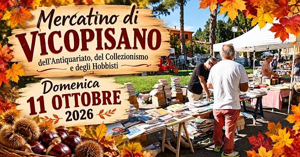 Mercatino di Collezionismo Antiquariato e Hobbismo a Vicopisano