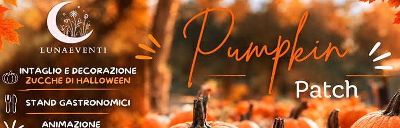 Pumpkin Patch Agrichioso Nave